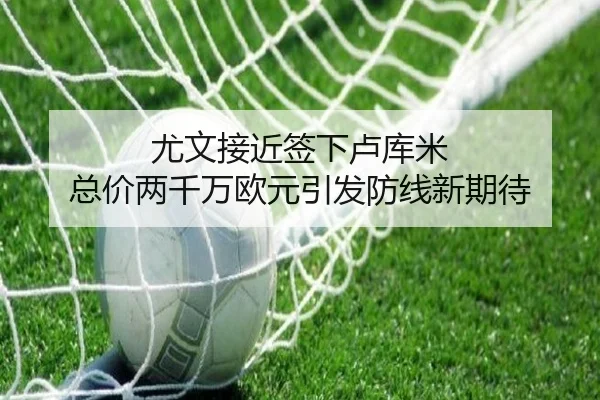 尤文接近签下卢库米 总价两千万欧元引发防线新期待